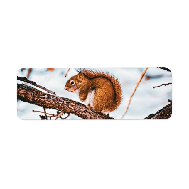 Red Squirrel Return Label (Front)