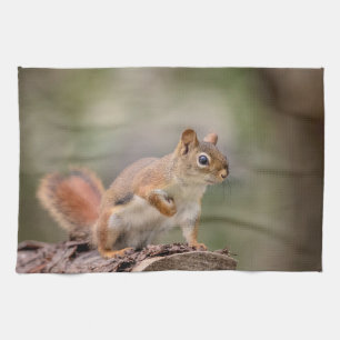 Red Squirrel Tea Towel