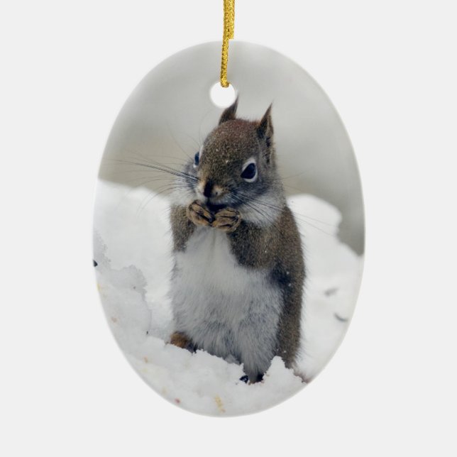 Red Squirrel's Blue Winter Ceramic Tree Decoration (Front)