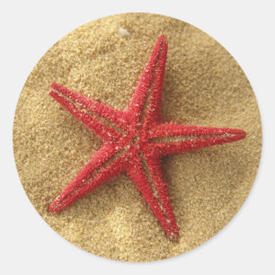 red starfish classic round sticker