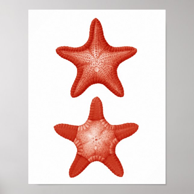Red Starfish no.2 Nautical Wall Art Decor Print (Front)