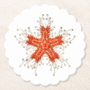 Red starfish paper coaster