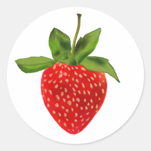red strawberry  classic round sticker