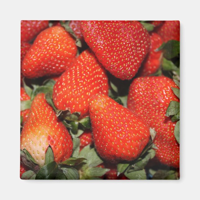 red  strawberry fruits magnet (Front)