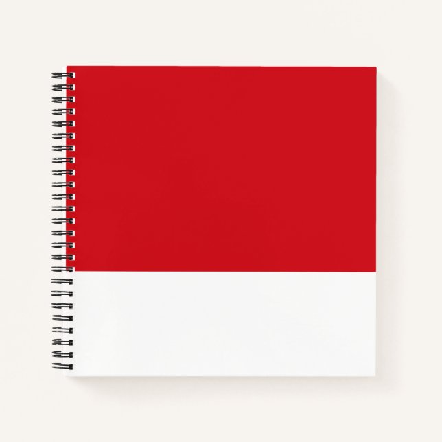 Red striped notebook (Front)