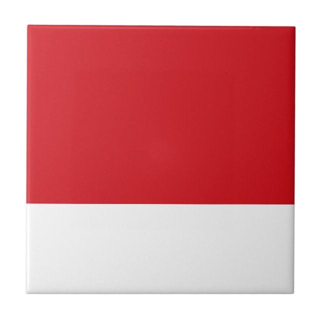 Red striped tile (Front)