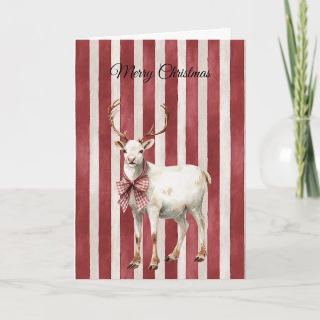 Red Stripes Christmas White Deer Card (Front)