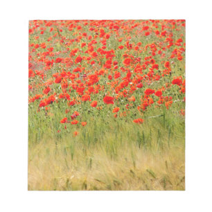 red summer flower notepad