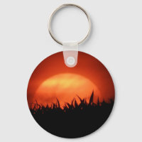Red sundown behind black grass