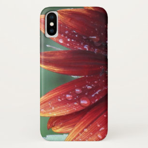 Red Sunflower Petals And Rain Drops Case-Mate iPhone Case
