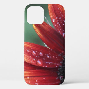 Red Sunflower Petals And Rain Drops iPhone 12 Case