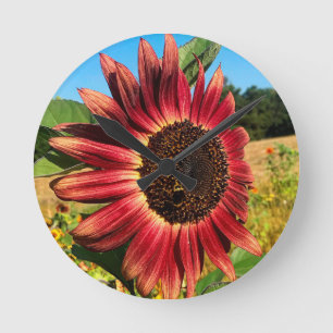 Red Sunflower Round Clock