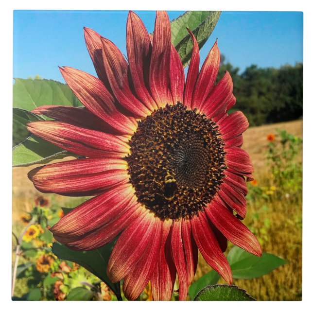 Red Sunflower with Bee Tile (Front)