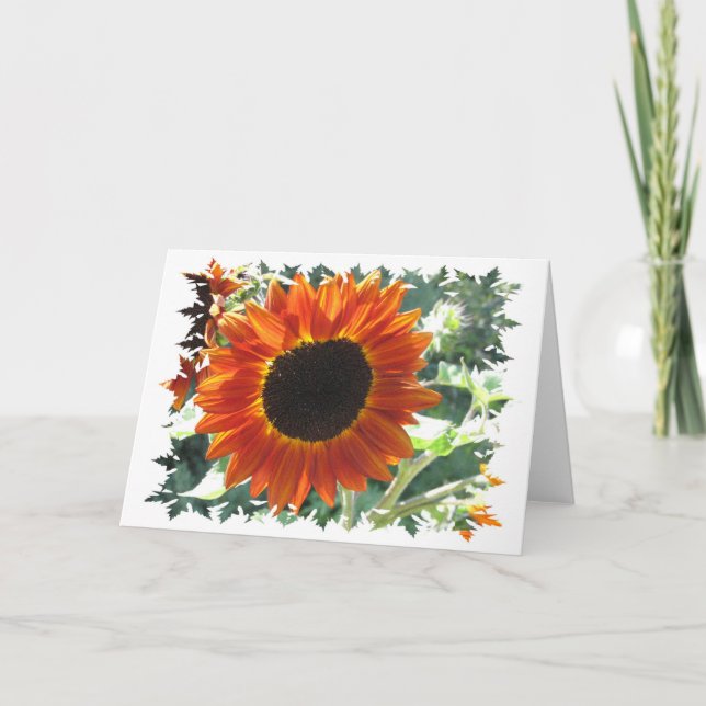 Red Sunflowers Greeting Card (Front)