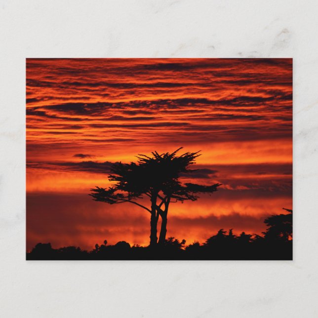Red Sunset, Santa Cruz California Postcard (Front)