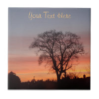 red sunset sky black silhouette trees
