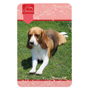 Red Tab & Flourish Merry Christmas Magnet