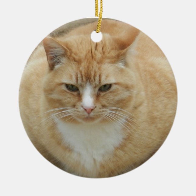 Red Tabby Ceramic Tree Decoration (Front)