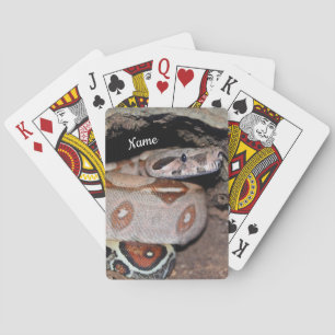 Red Tail Boa Constrictor Snake Playing Cards