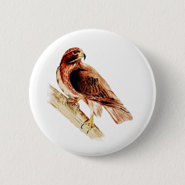 Red Tail Hawk 6 Cm Round Badge (Front)