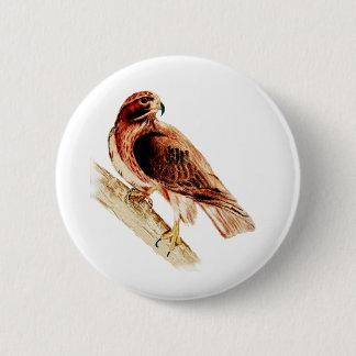 Red Tail Hawk 6 Cm Round Badge