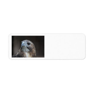Red Tail Hawk address labels