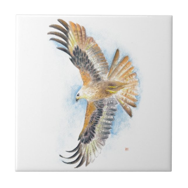 Red Tail Hawk Art Tile (Front)