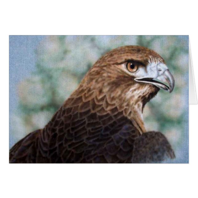 Red-tail Hawk Card (Front Horizontal)