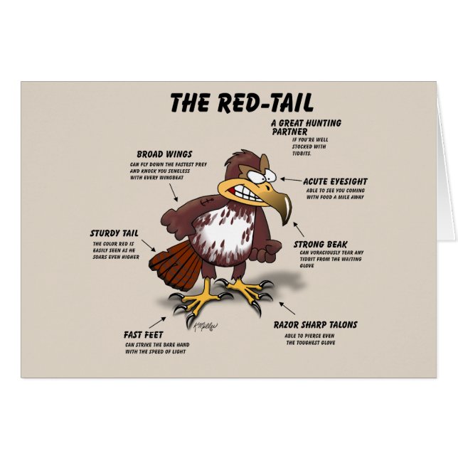 Red-tail Hawk Cartoon (Front Horizontal)