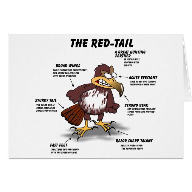 Red-tail Hawk Cartoon (Front Horizontal)