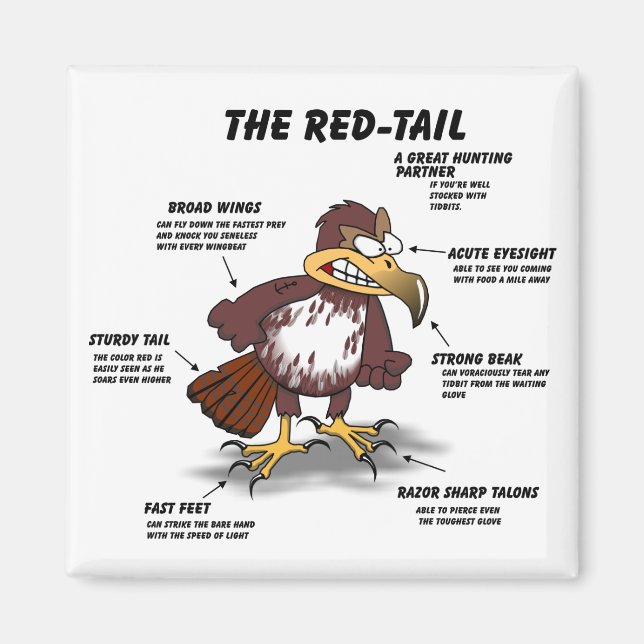 Red-tail Hawk Cartoon Magnet (Front)