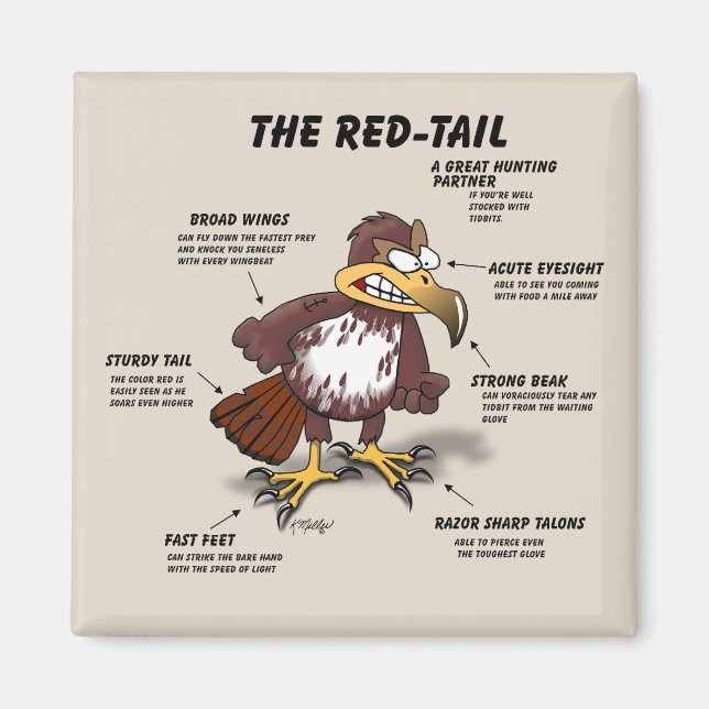 Red-tail Hawk Cartoon Magnet (Front)