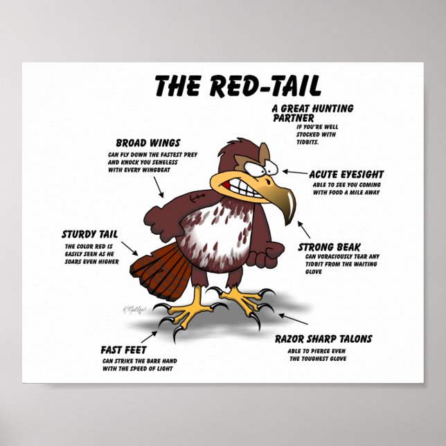 Red-tail Hawk Cartoon Poster (Front)
