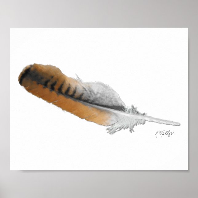 Red-tail Hawk feather Poster (Front)