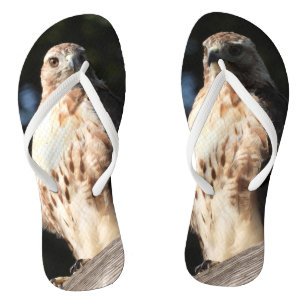 Red Tail Hawk Jandals