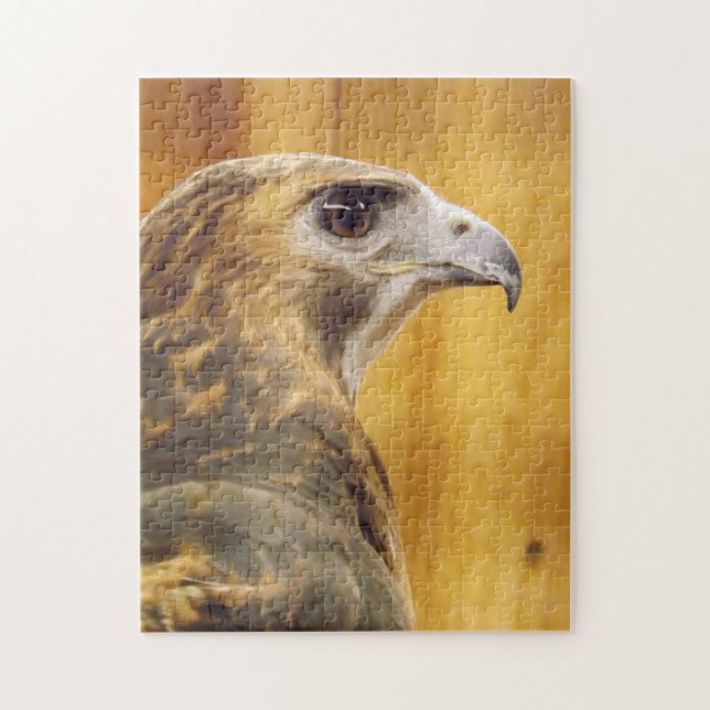 Red Tail Hawk Jigsaw puzzle (Vertical)