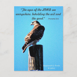 Red Tail Hawk -  Postcard - Proverbs 15:3