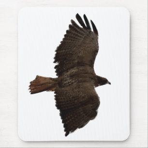 Red-tail sketch mouse pad