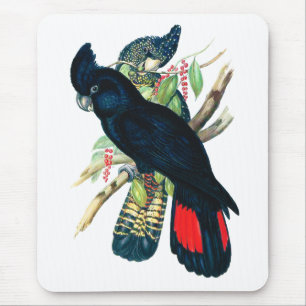 Red tailed, Black (Banksian) Cockatoos. Mouse Pad