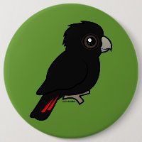 Red-tailed Black Cockatoo