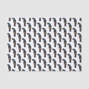 Red-tailed black cockatoo bird cartoon tissue paper