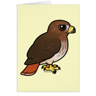 Red-tailed Hawk