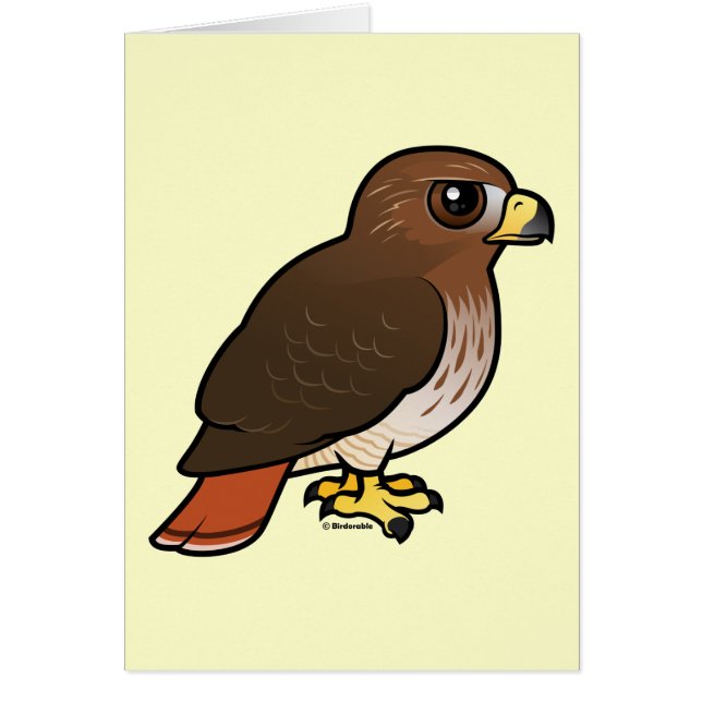 Red-tailed Hawk (Front)