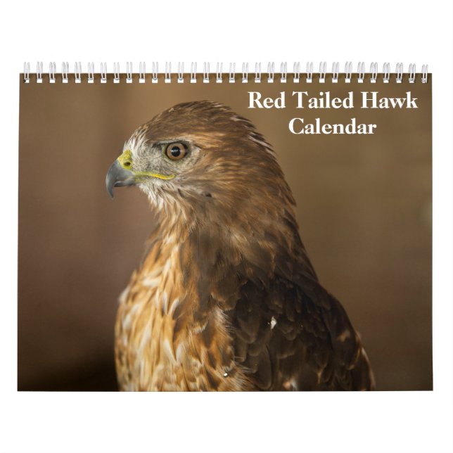 Red Tailed Hawk 2027 Calendar (Cover)