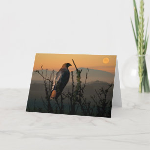 Red-tailed Hawk 5x7 Greeting Card