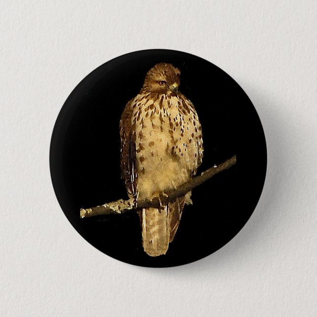Red Tailed Hawk 6 Cm Round Badge (Front)