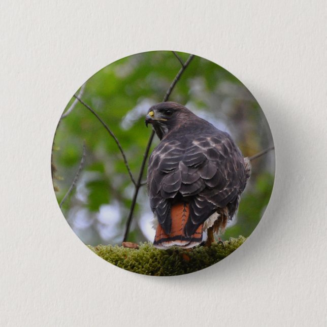 Red-Tailed Hawk 6 Cm Round Badge (Front)