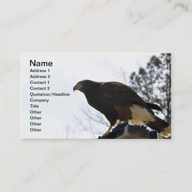 Red Tailed Hawk Against a Blue Sky Business Sky Card (Front)