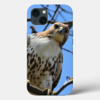 Red-tailed hawk, Apple iPhone 13 case