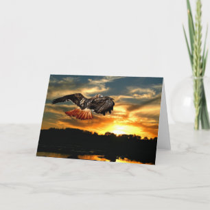 Red tailed hawk at sunset card
